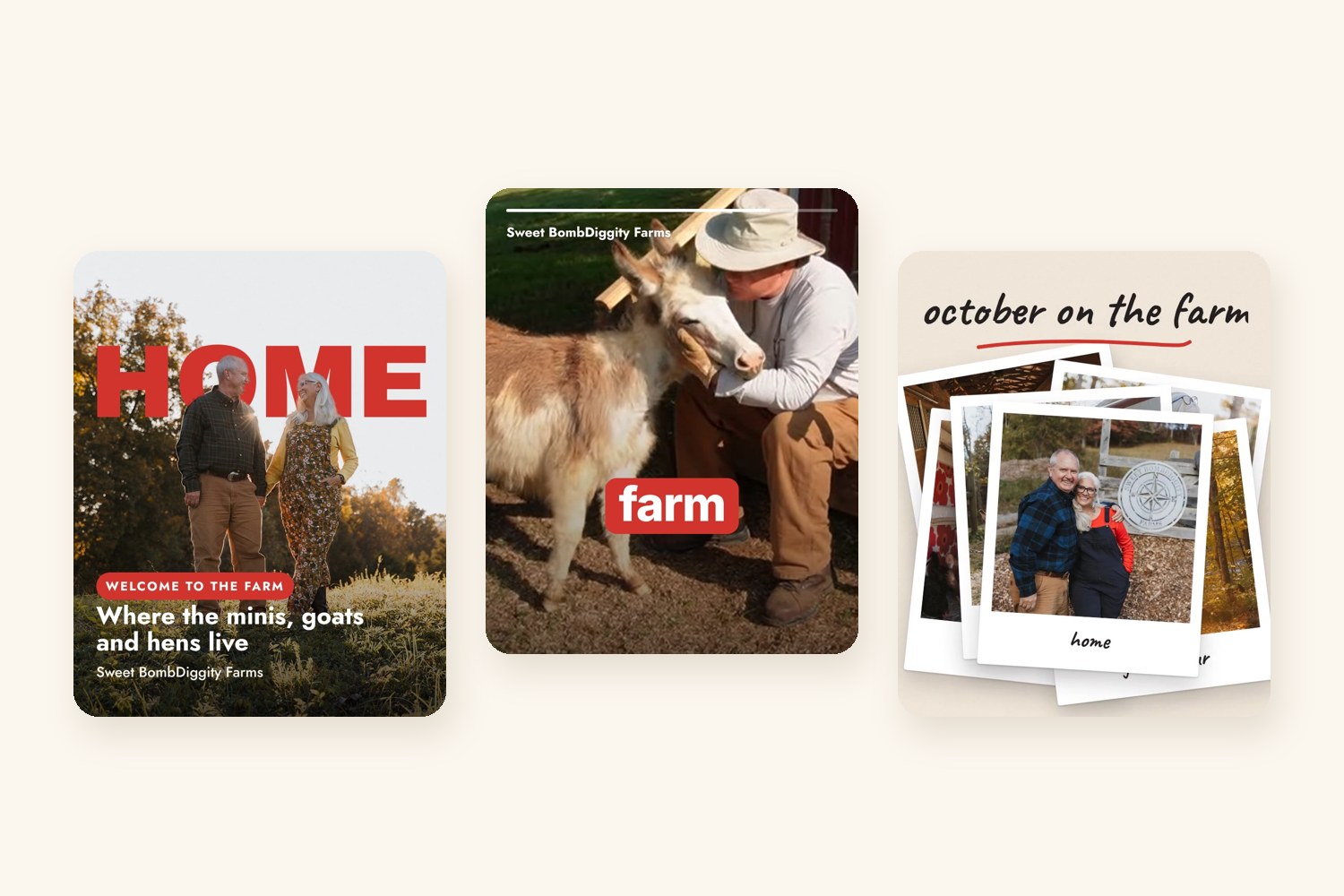 Three Reel-style examples made in Canva: the word HOME behind a couple in a meadow, a big red caption over a man with a mini donkey, and a stack of farm photo prints