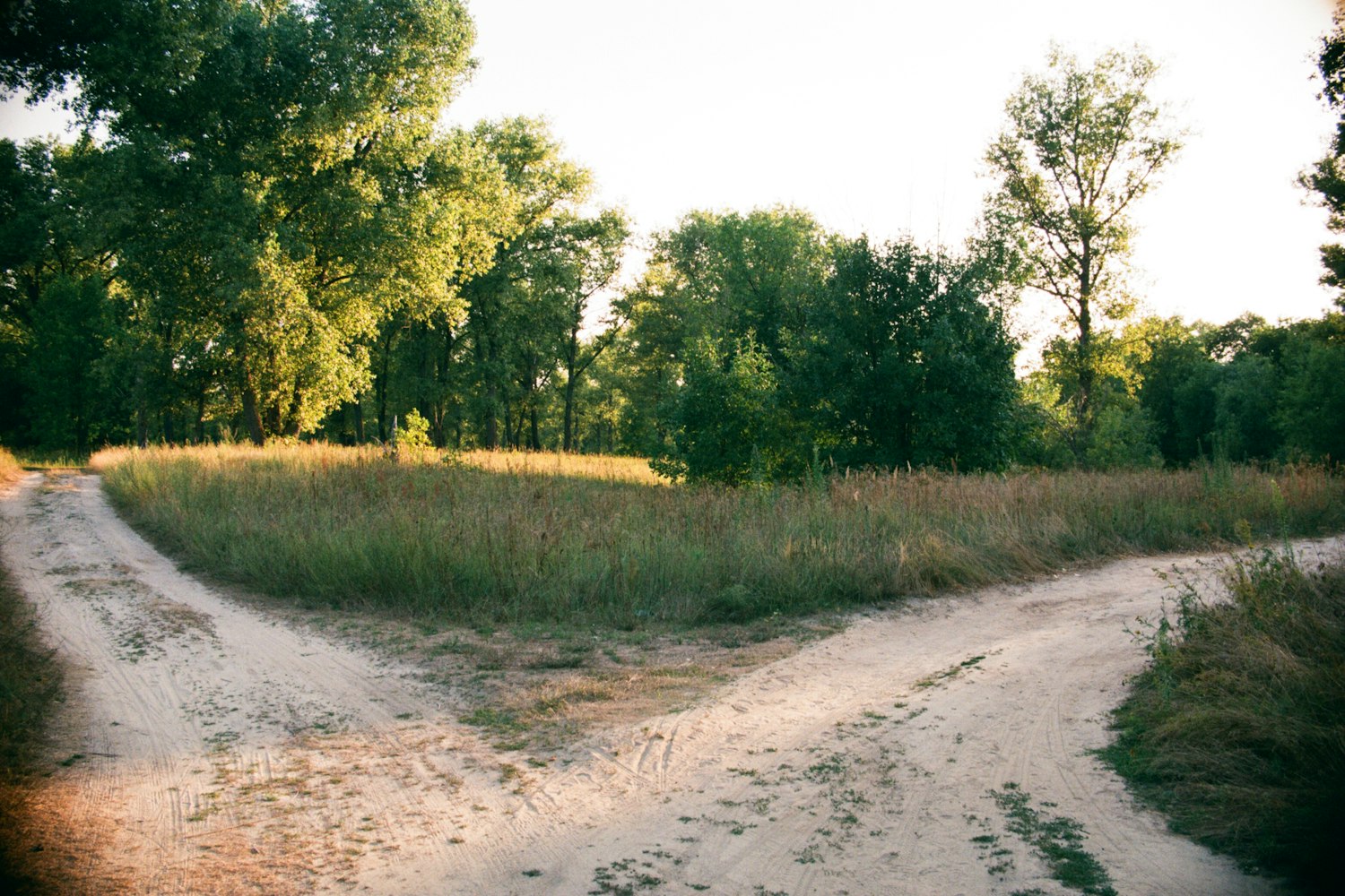 A dirt road splitting into two paths through a green field