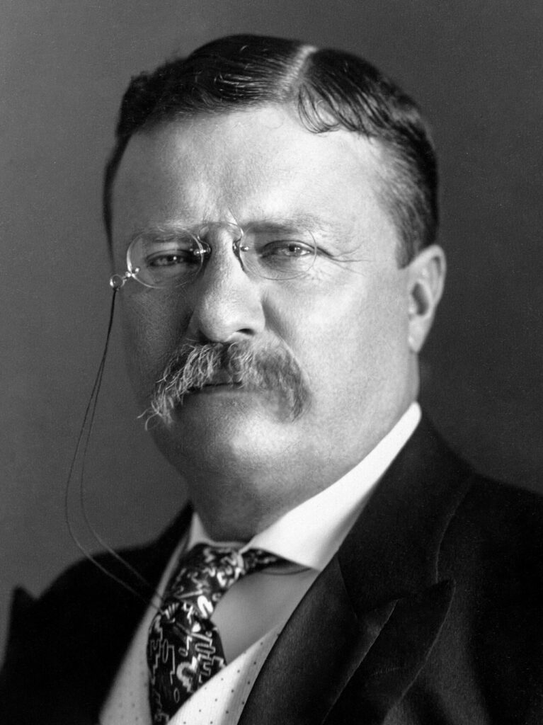 Portrait of Theodore Roosevelt