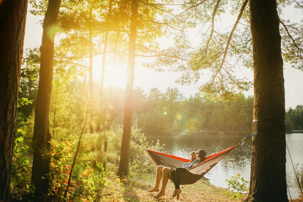 A person resting in a hammock among trees at sunset