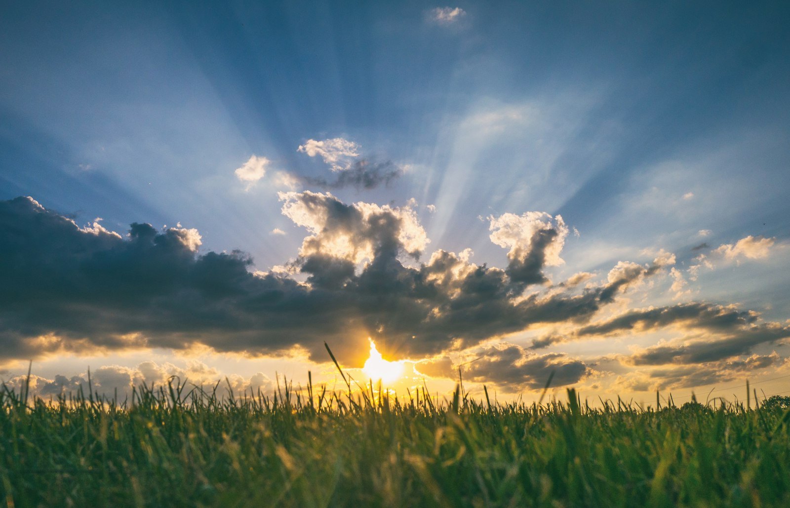 The sun breaking through clouds over a field