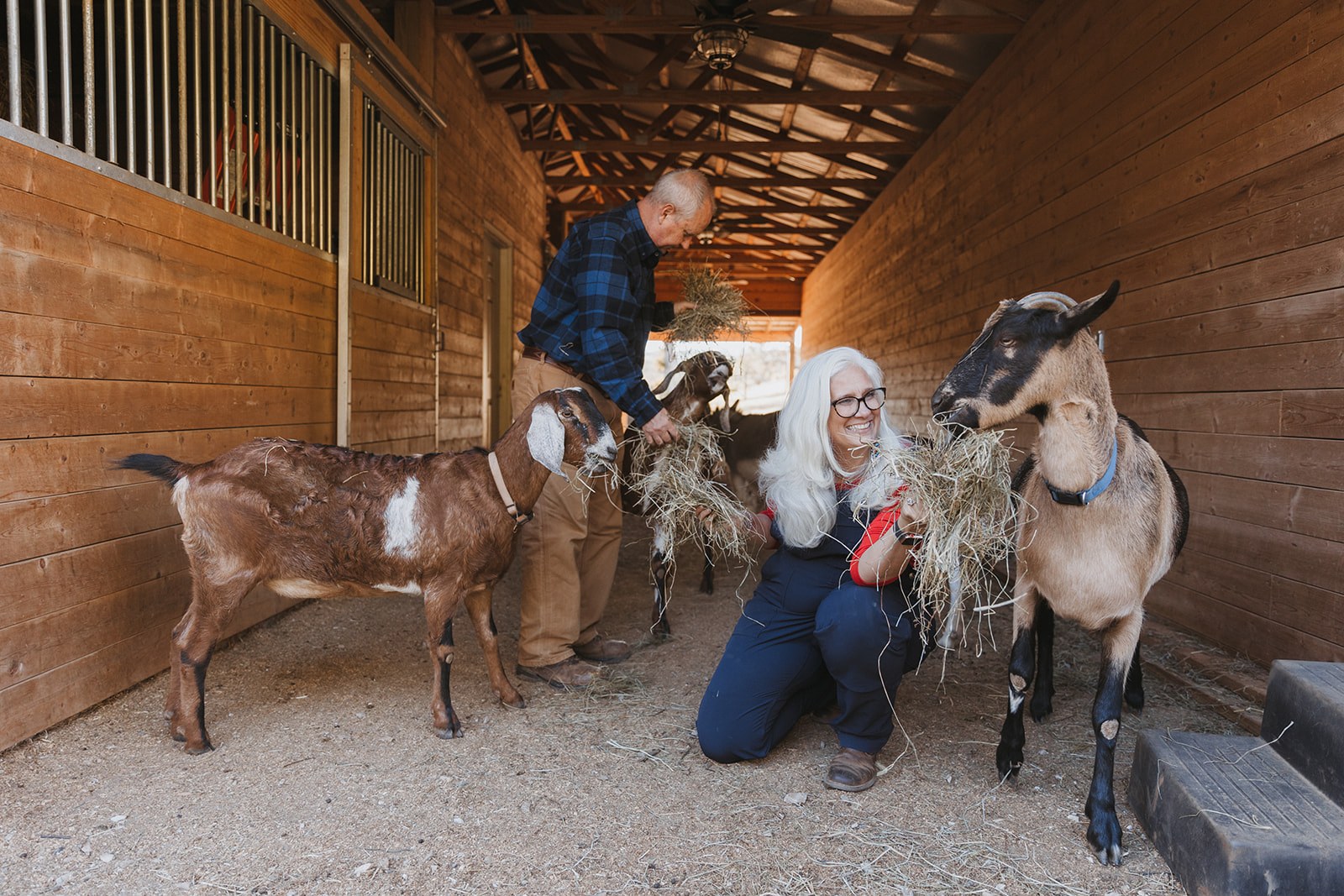 My marketing lab has goats in it